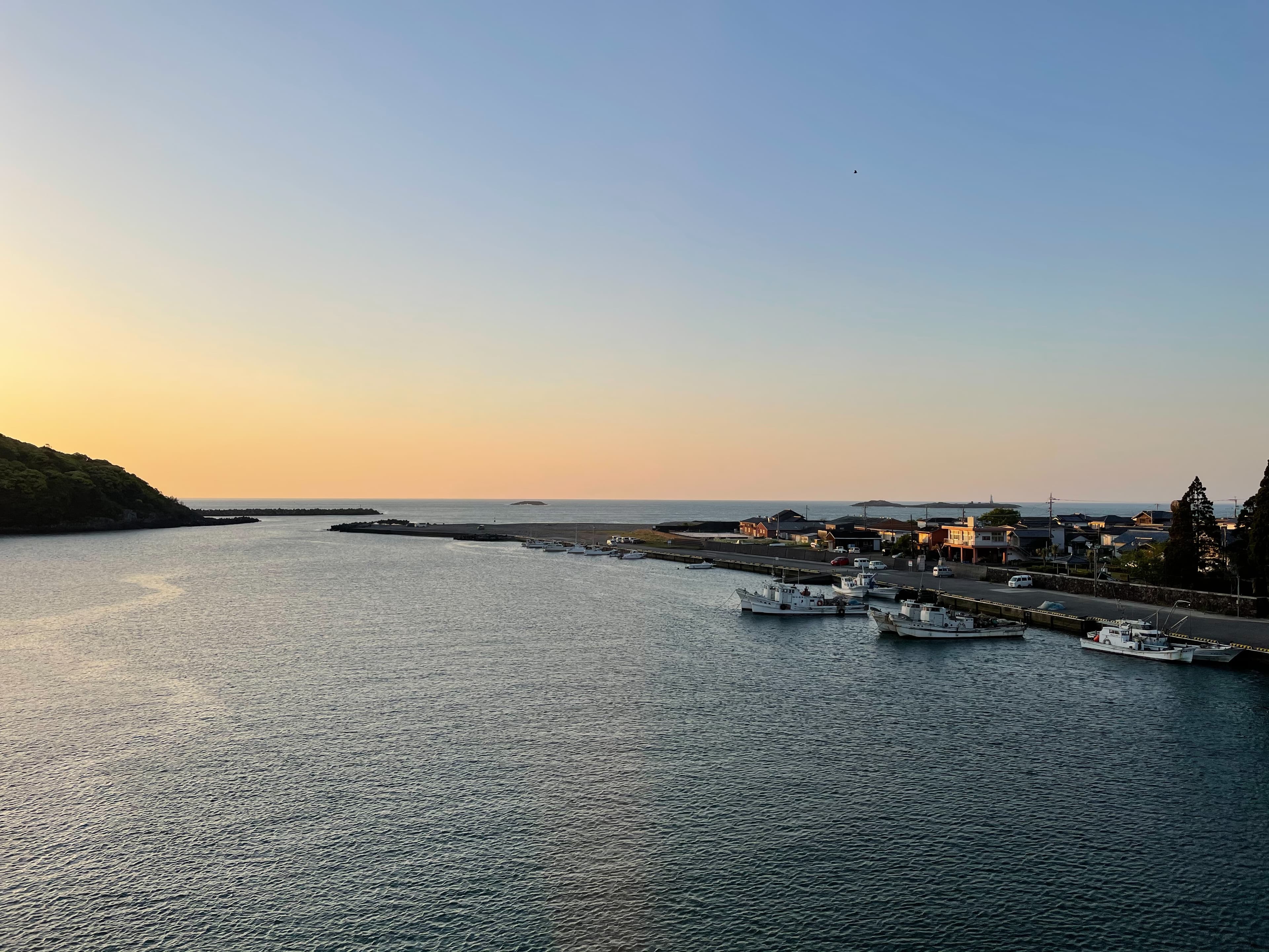 ギャラリー画像 5