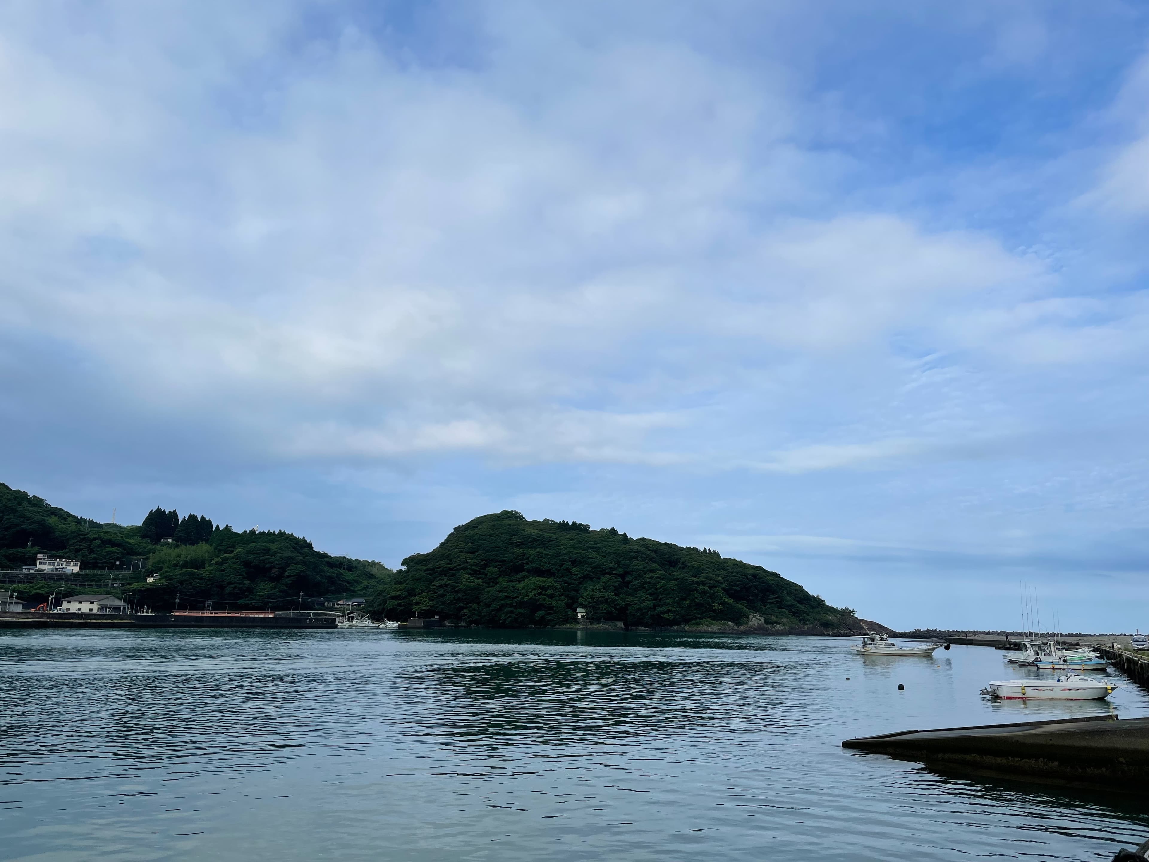 ギャラリー画像 3