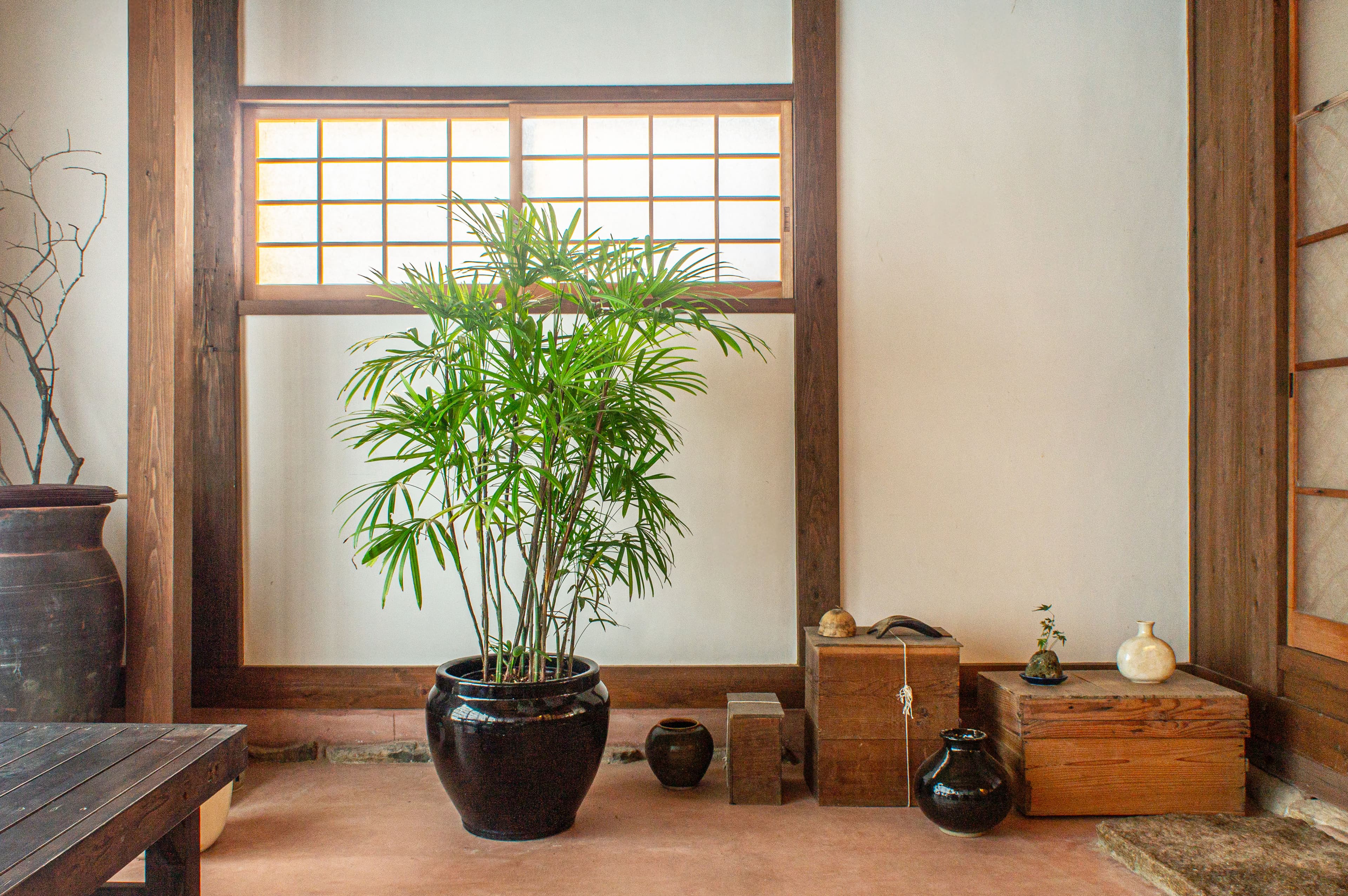 ギャラリー画像 4